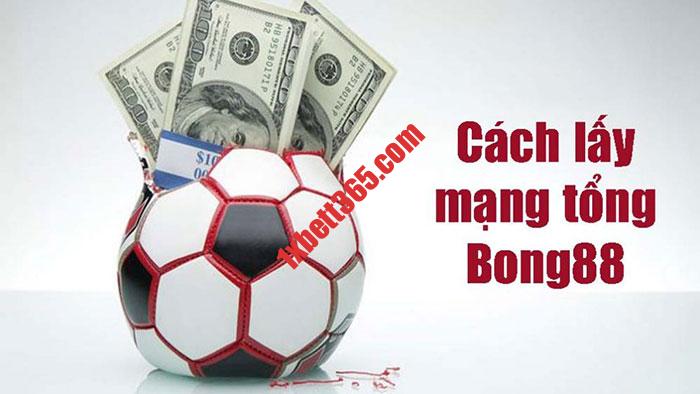 Hướng dẫn Đăng Ký lấy mạng tổng bong88 luu ban nhap tu dong 1178