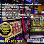 Competir juegos de casino gratis Dead or Alive Regalado Online