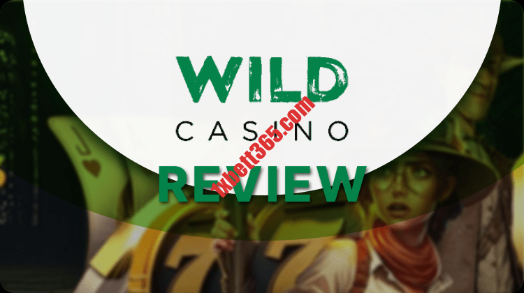 Beste Casinos unter einsatz von schneller Ausschüttung 2024: Testsieger Banner Wild Casino Review min