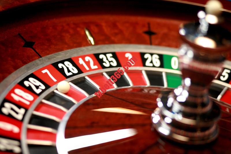 casinoscripting com - casinoscripting Information and you will Advice. canstockphoto5268685